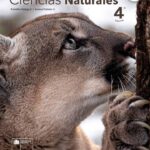 Libro de Ciencias Naturales 4º Básico – Descarga Ahora en Formato PDF