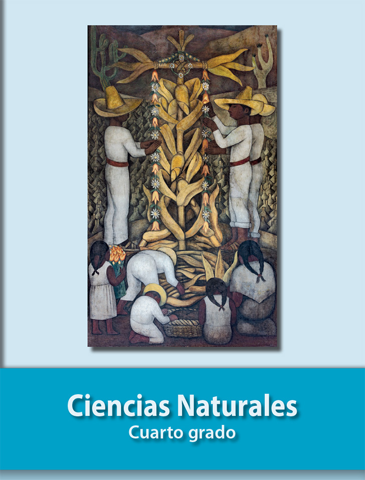Libro de Ciencias Naturales de cuarto grado de Primaria. Descarga ahora en PDF